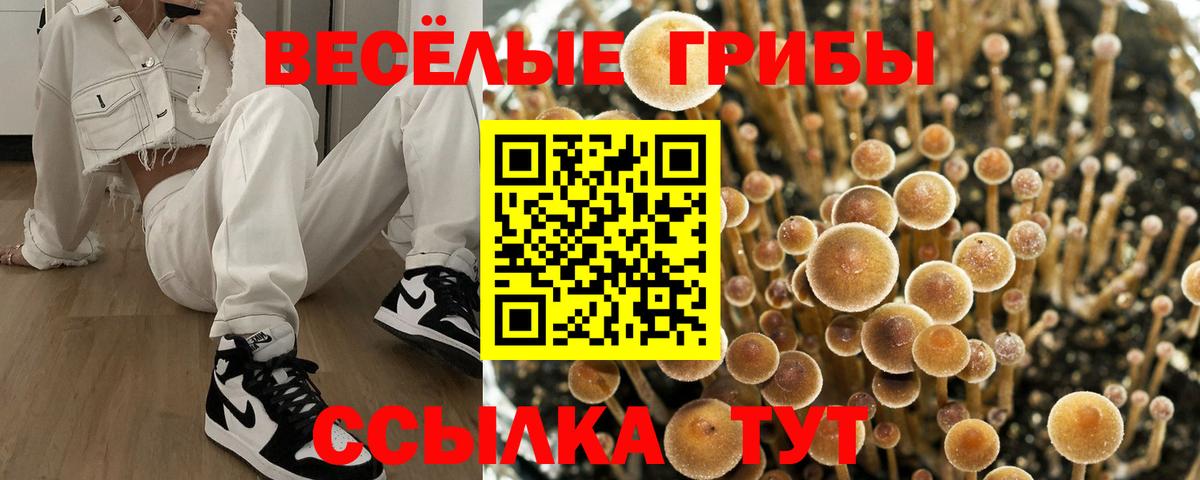 Лесной  Галлюциногенные грибы Magic Shrooms  дарнет шоп  Вход с VPN 